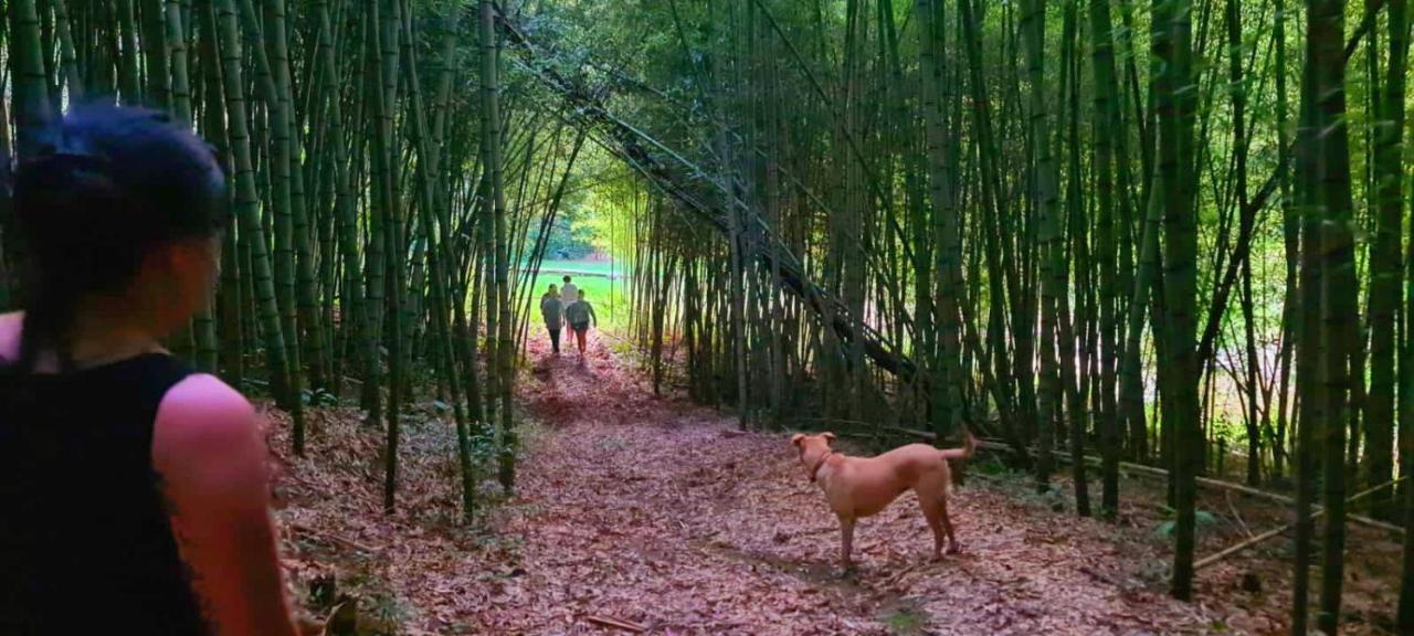 Pousada Green Valley São Roque المظهر الخارجي الصورة